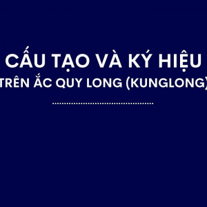 Cấu Tạo Và Ký Hiệu Trên Ắc Quy Long (KungLong)