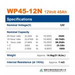 Ắc Quy Kín Khí (VRLA AGM) LONG 12V-45AH (20HR), WP45-12, F4-M6