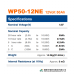 Ắc Quy Kín Khí (VRLA AGM) LONG 12V-50AH (20HR), WP50-12NE, F8-M6