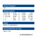 Ắc Quy Kín Khí (VRLA AGM) LONG 12V-55AH (20HR), WP55-12N, F8-M6