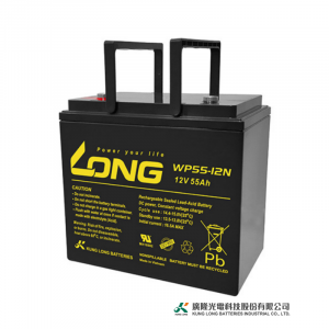 Ắc Quy Kín Khí (VRLA AGM) LONG 12V-55AH (20HR), WP55-12N, F8-M6