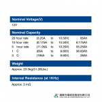 Ắc Quy Kín Khí (VRLA AGM) LONG 12V-65AH (20HR), WP65-12N, F8-M6