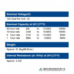 Ắc Quy Kín Khí (VRLA AGM) LONG 12V-100AH (10HR), WPL100-12RN, F18-M8