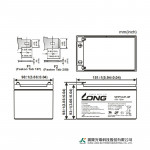 Ắc Quy Kín Khí (VRLA AGM) LONG 12V-12Ah (20HR), WPL12-12, F2