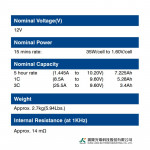 Ắc Quy Kín Khí (VRLA AGM) LONG 12V-35WPC-1.6VPC-15Min, WPL1235W, F2