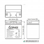 Ắc Quy Kín Khí (VRLA AGM) LONG 12V-28AH (20HR), WPL28-12TN, F6-M5