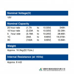 Ắc Quy Kín Khí (VRLA AGM) LONG 12V-34AH (20HR), WPL34-12N, F6-M5