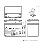 Ắc Quy Kín Khí (VRLA AGM) LONG 12V-135WPC-1.67VPC-15Min, WXL12135WN, F8-M6